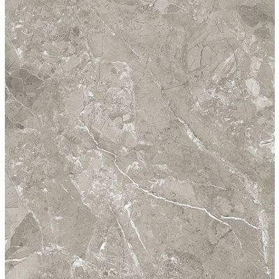 Romano Grey Керамогранит серый 60x60 полированный #1