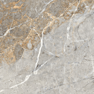 Fantastico Grey Granito Керамогранит 60х60 Полированный #3