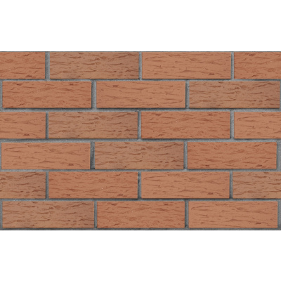 Кирпич лицевой керамический пустотелый ЛСР светло-коричневый 1НФ рустик 250х120х65 мм #2