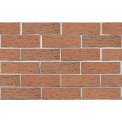 Кирпич лицевой керамический пустотелый ЛСР светло-коричневый 1НФ рустик 250х120х65 мм #1