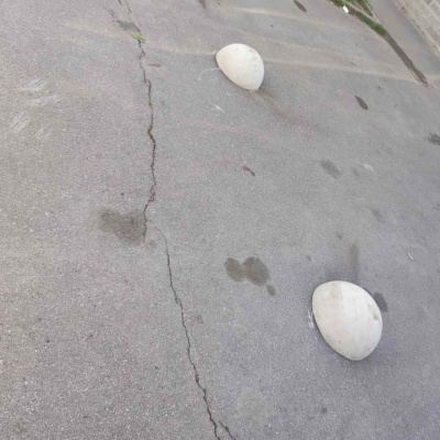 Бетонная полусфера #1