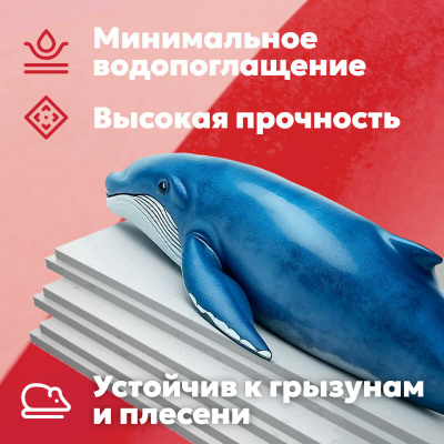 Экструзионный пенополистирол (XPS) ТЕХНОНИКОЛЬ Carbon Eco SP 2360х580х100 мм, 4 шт #2