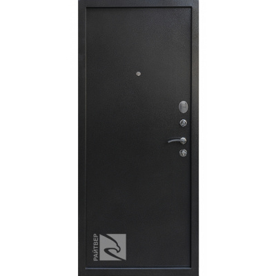 Входная дверь Стронг 100М - Черное серебро #2